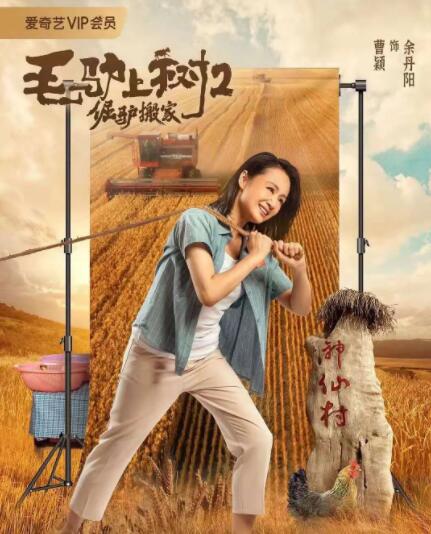 精品视频在线播放